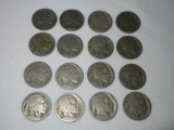 16 Buffalo Nickels Coins