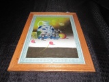Hand Painted Pitcher w/ Grapes Picture in Wood Frames/Matt