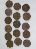 16 Lincoln Vintage One Cent Coins 1949, 1936, 1955-D, 1937, 1923, Etc.