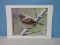 Wren Bird Perched on Snow Dusted Limb Original Fine Art Offset Lithograph