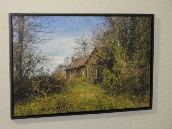 Rural Abandoned Old Homestead House Cabin Overgrown Fine Art Photograph on Canvas