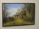 Rural Abandoned Old Homestead House Cabin Overgrown Fine Art Photograph on Canvas