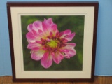 Gorgeous Visual Art Photograph Still Life Dahlia Delight Artist Signed Framed/Matt