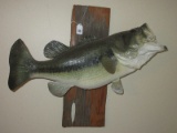 Largemouth Bass Taxidermy Fish Mounted on Driftwood Board Plaque