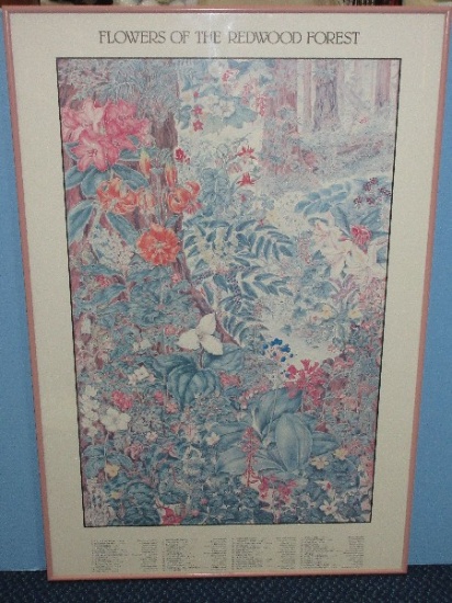 Flowers of The Redwood Forest Botanical Print Poster in Pink Frame