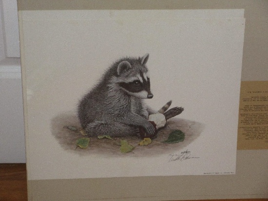 2 Adorable Raccoon Wild Life Scenes Artist Signed Webb Garrison Offset Lithographs Limited