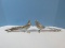 Andrea by Sadek Pair Figural Pheasants.   5 1/4