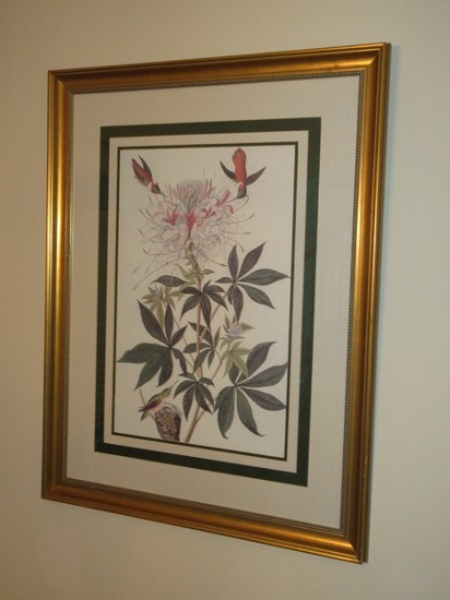 Audubon Botanical Ruff-Necked Hummingbird Fine Artwork Print in Antique Gilt Patina Bead