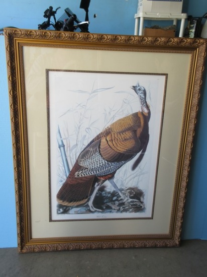 Titled Wild Turkey Plate 1 No. 1 Birds of America by John James Audubon Fine Artwork Print in