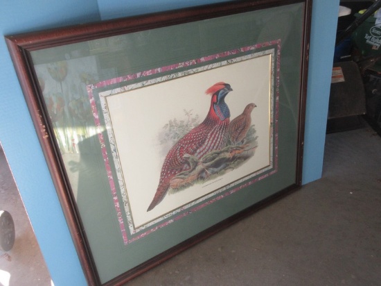 Titled "Cerionis Temminckii" Colorful Audubon Stylized Quail Birds Male/Hen in Frame 39" x 32"