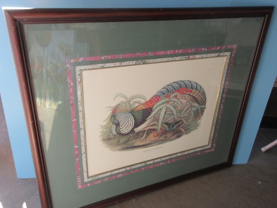 Titled "Thaumalea Amherstiate" Regal Vibrant Color Pheasant Bird Audubon Stylized in Frame