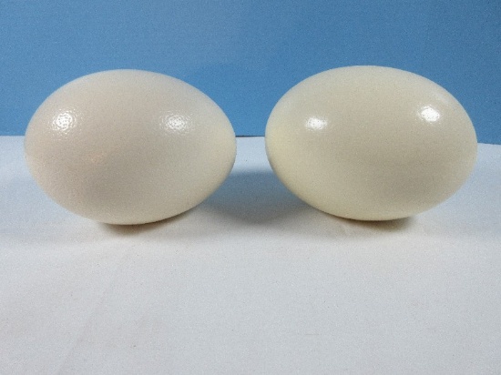 2 Premium Blank Ostrich Egg Shells Ready for Crafting