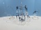 Swarovski Crystal 13 Annual Snowflake Ornaments w/Christmas Tree Display Metal Stand &