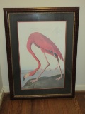 Phenomenal Replica Birds of America Flamingo Lithograph Artwork Print Plate Robert Harvell