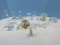 Lot Crystal Miller Rogaska Tea Light Candle Holder, Bleikristall Germany Hand Cut Crystal