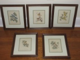 Collection 5 Various Birds and Botanical Framed Artwork Prints All Artist Signed Anne Worsham