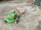 Lawn-Boy Gas Power Push Mower 21