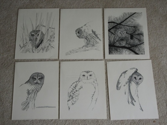 Set of 6 Line Drawings by Peter Parnall From "The Night Watchers" Collection Fine Artwork Prints