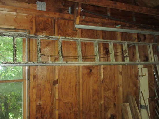 Aluminum Extension Ladder Approx 20'