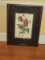 Botanical Cultivated Poppy Fine Art Print Attributed to Gerard Van Spaendonck Dutch Artist