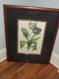 Botanical fine art Print 
