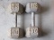 Pair 30 Lb. Hand Weights Hex Dumbbells