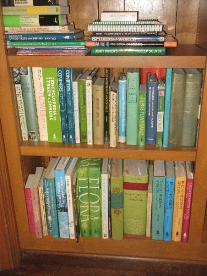 Lot Misc Garden Landscape Trees & Shrubs Books Insects & Spiders etc.