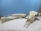 Longhorn Skull w/Horns Intricate Detailed Highly Carved Design Horns. 26