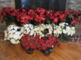 9 Artificial Realistic Poinsettia Plants in Terra Cotta Flower Pot Planters and 2 w/ Foil and