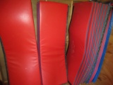Lot 20+ Martial Art Mats