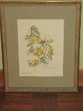Lithograph Carolina Wren & Yellow Jasamine 1969 Artist Signed Anne Richardson w/Personal