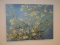 Gorgeous Artwork Titled 