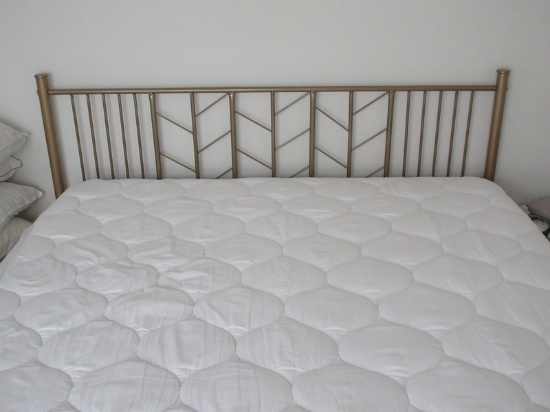 Transitional Modern Golden Tone Headboard Queen Size Platform Bed Stylish Design w/