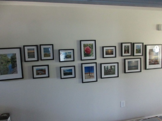 Collection of Frame Photographs Local Artist