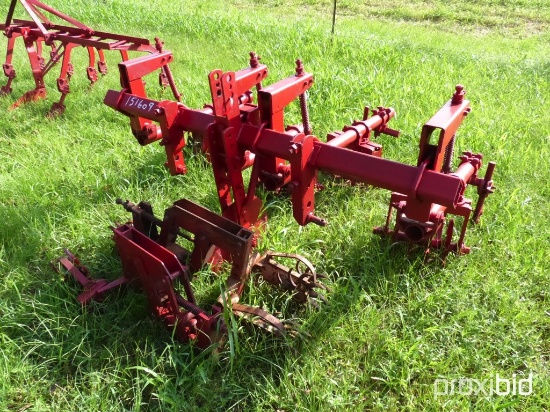 Lilliston 2 row rolling cultivator
