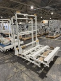 Lot of 2 Rolling Racks