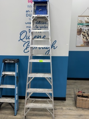Werner 250Lb Aluminum Ladder