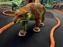Mad Cat Resin/Composite 45"T x Approx 6'Long
