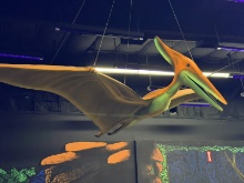 Hanging Pterodactyl