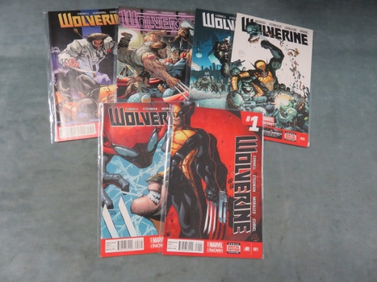 Wolverine/Stegman Run 1-7