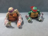 Teenage Mutant Ninja Turtles Bank Lot