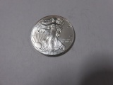 2013 American Silver Eagle 1oz Round