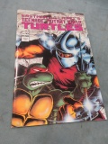 Teenage Mutant Turtles #10/1987/1st Print