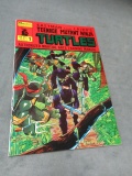 Teenage Mutant Turtles 1986 Training Manual