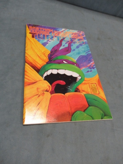 Teenage Mutant Ninja Turtles #22 1989