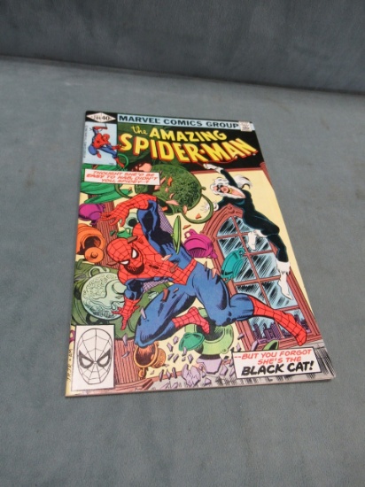 Amazing Spider-Man #204 - 3rd Black Cat.