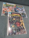 Teenage Mutant Ninja Turtles Adventures #1-3 Set