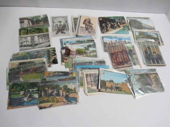 Zoo Postcards Collectible Lot