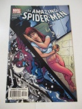 Amazing Spider-Man #493/Campbell Cover