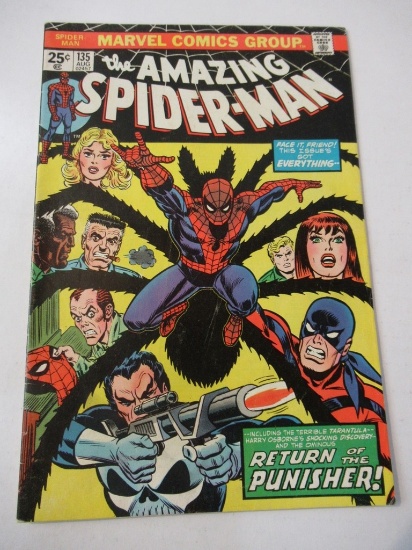 Amazing Spider-Man #135/3rd Punisher